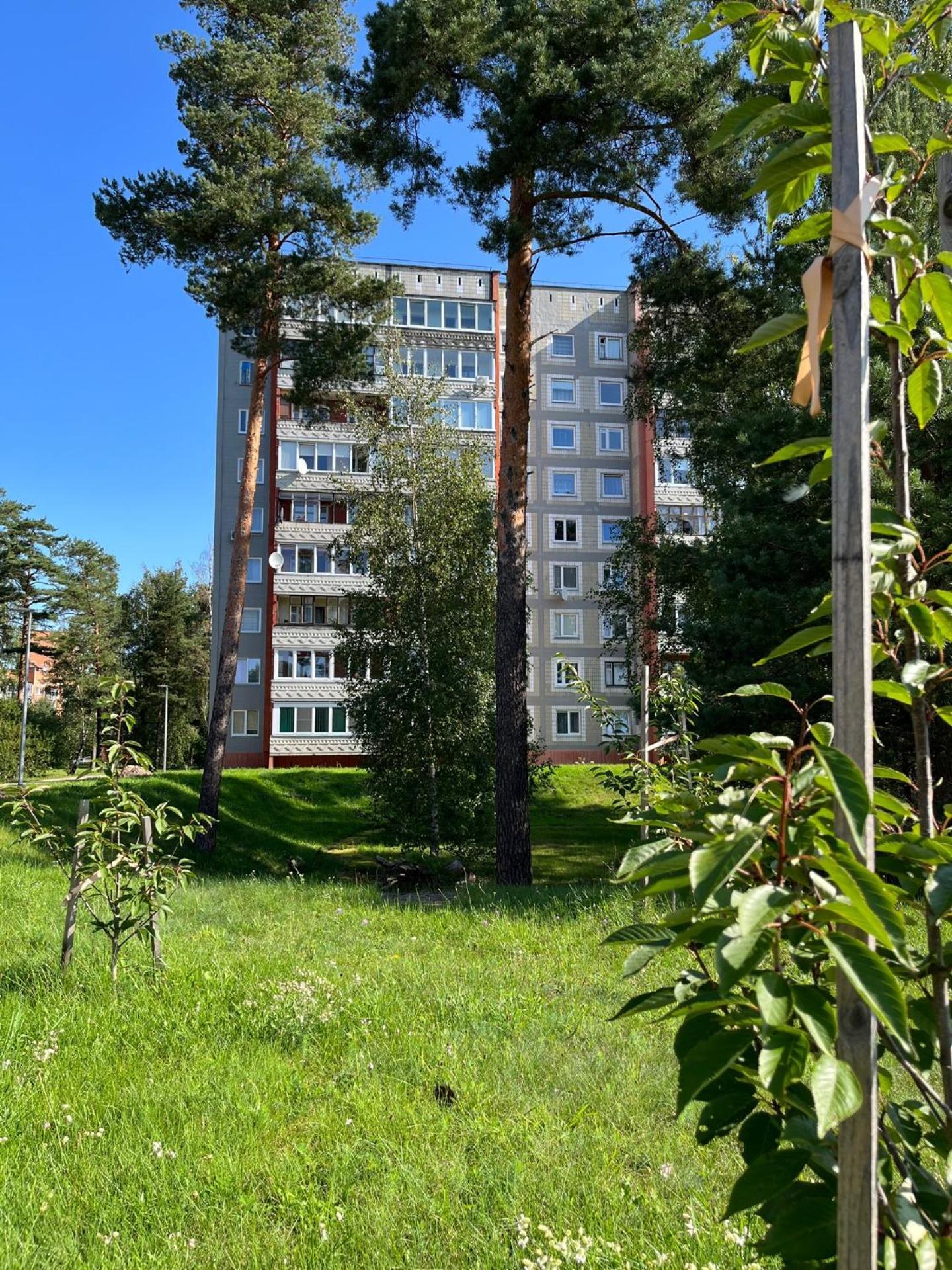Pine Apartment Visaginas Exterior foto